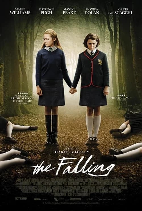 The Falling film posteri