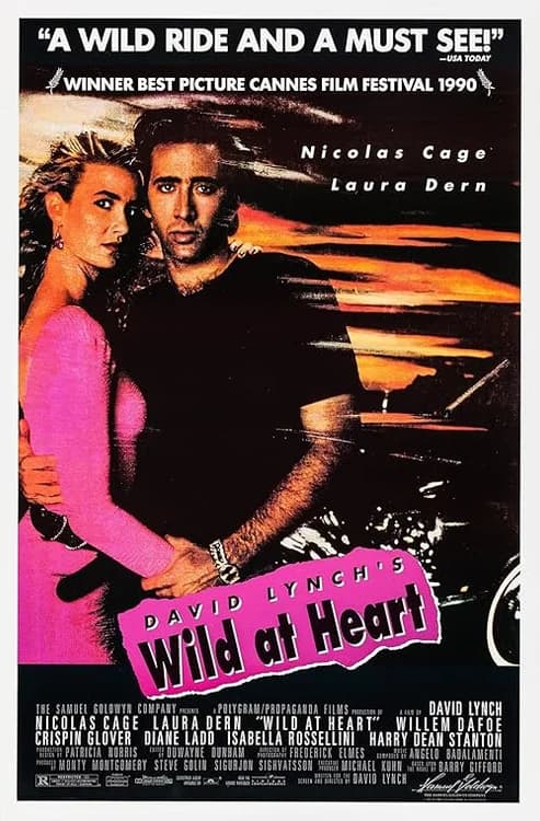 Wild at Heart film posteri